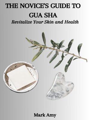 cover image of THE NOVICE'S GUIDE TO GUA SHA